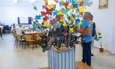 OUT OF THE BOX II – a cellák hangja