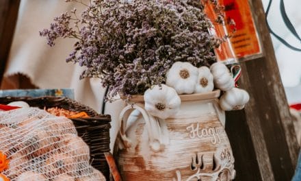 Makói Hagymafesztivál 2025: három nap szórakozás, eredeti ízek és fergeteges koncertek