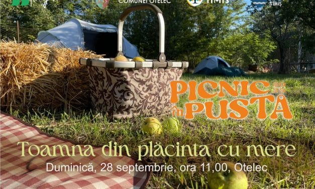 PICNIC ÎN PUSTĂ