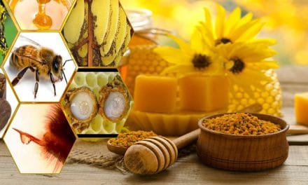 Mézútvonal a Bánságban. 21 állomás apiterápiára Temes és Krassó-Szörény megyében, egy román–szerb határon átnyúló projekt keretében