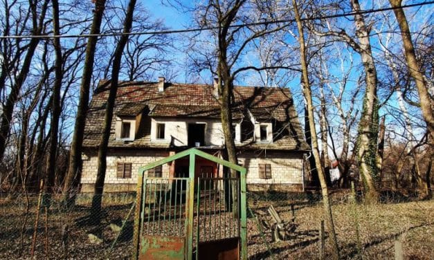 Spațiu expozițional ecoturistic la Makó