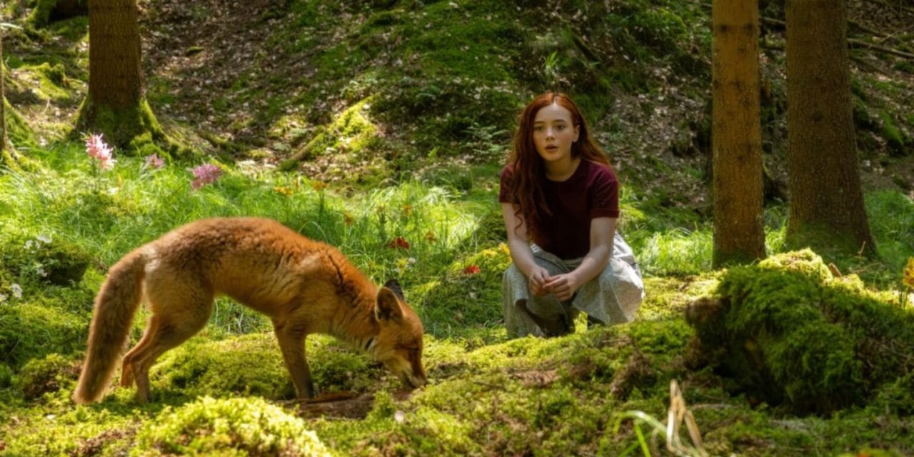 A KINOdiseea elhozza a gyermekfilmek varázsát Temesvárra: nyolc premier és találkozók rendezőkkel a Victoria moziban